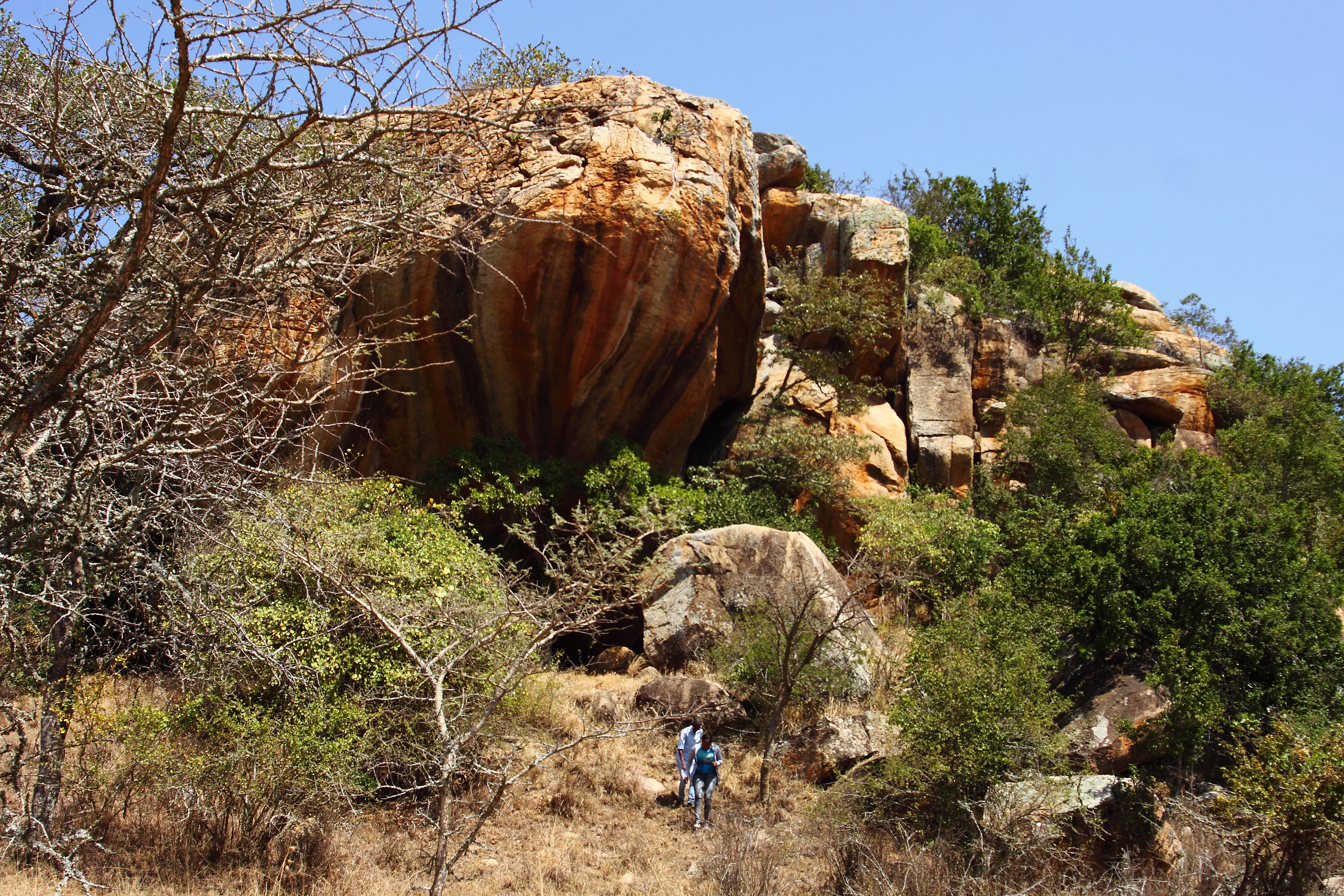 Blog Image