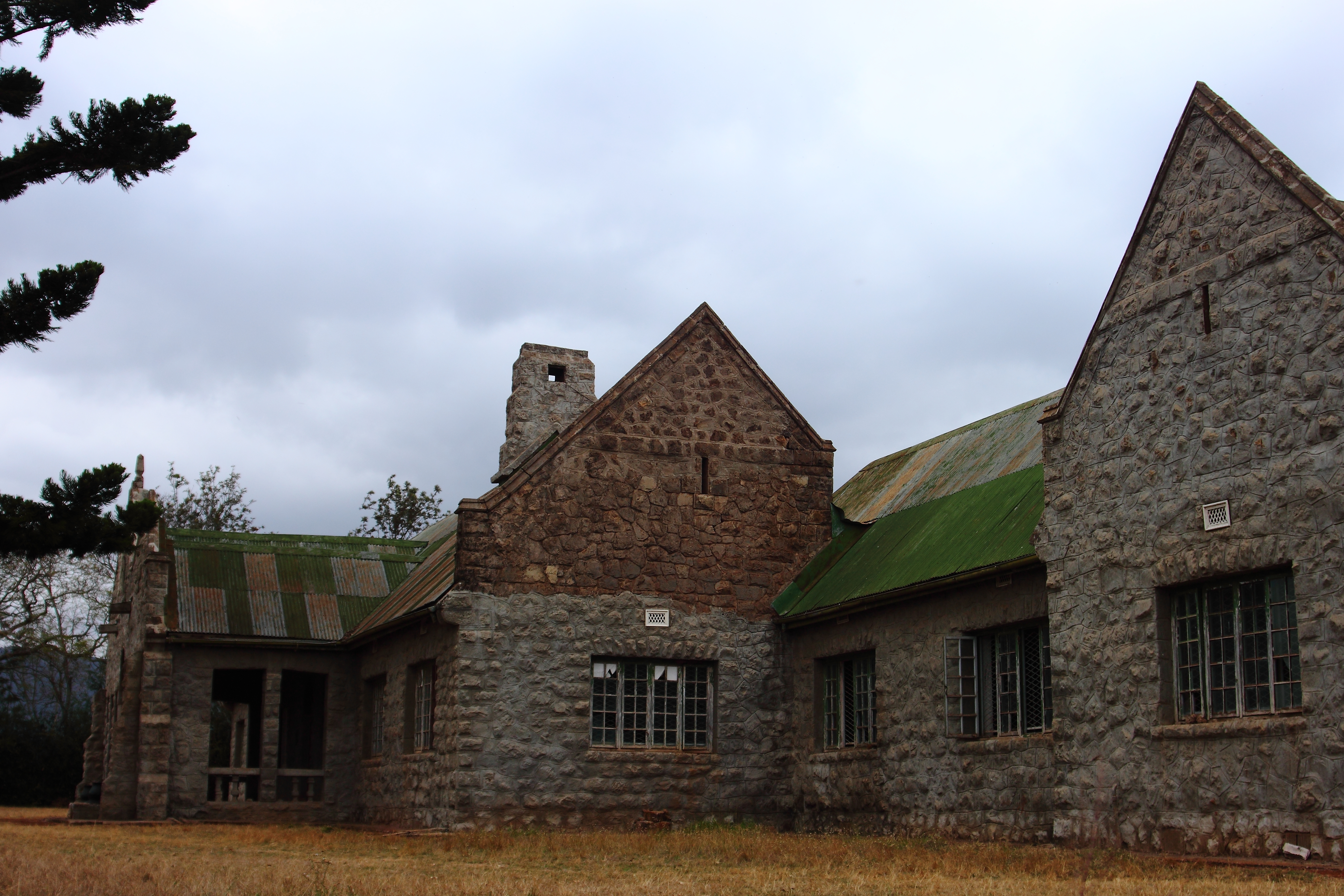 blog image